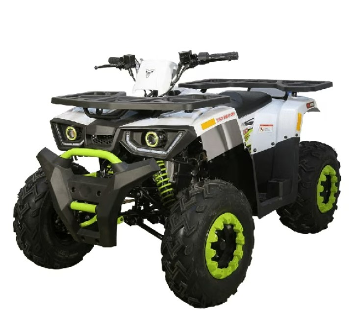 Ремонт квадроциклов Avantis Hunter