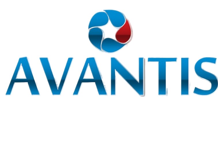 Ремонт квадроциклов Avantis